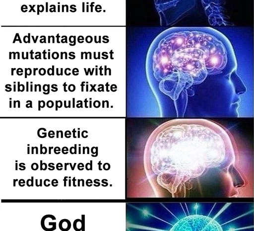 God Created Life