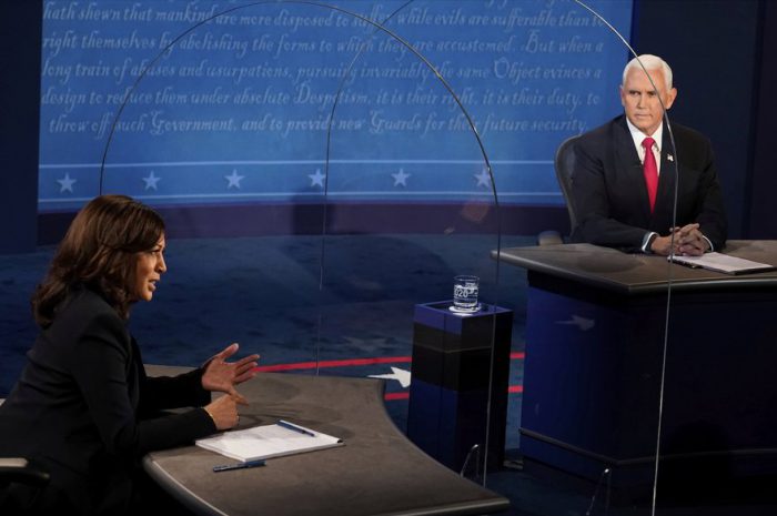 When a Fly Is the Most Memorable Thing About a Vice Presidential Debate